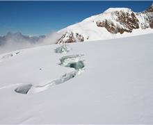 IMG_6509